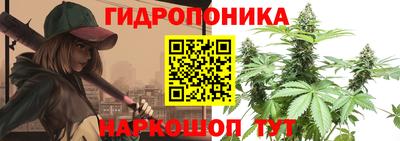 эйфоретик Свободный